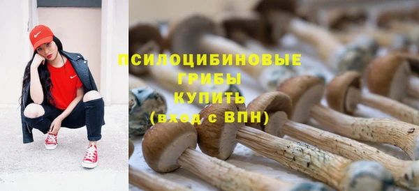 кокс Алексеевка