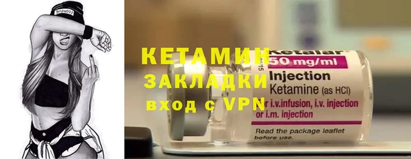 прущие грибы Балабаново