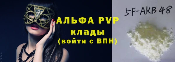 шишки Пестово