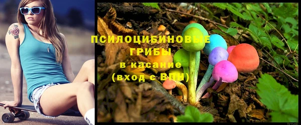не бодяженный Алексин