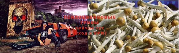 твердый Алзамай