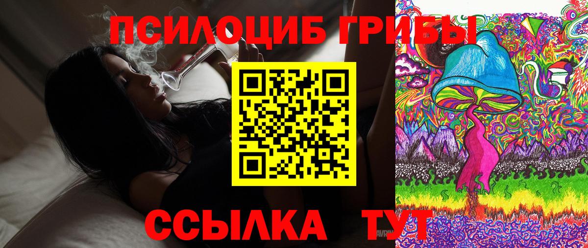 Галлюциногенные грибы прущие грибы  Вход с VPN  Балабаново  Галлюциногенные грибы мицелий 