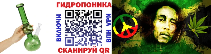 kraken зеркало как найти закладки Балабаново Марихуана сатива